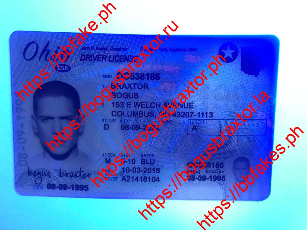 Ohio Fake ID - Image 3