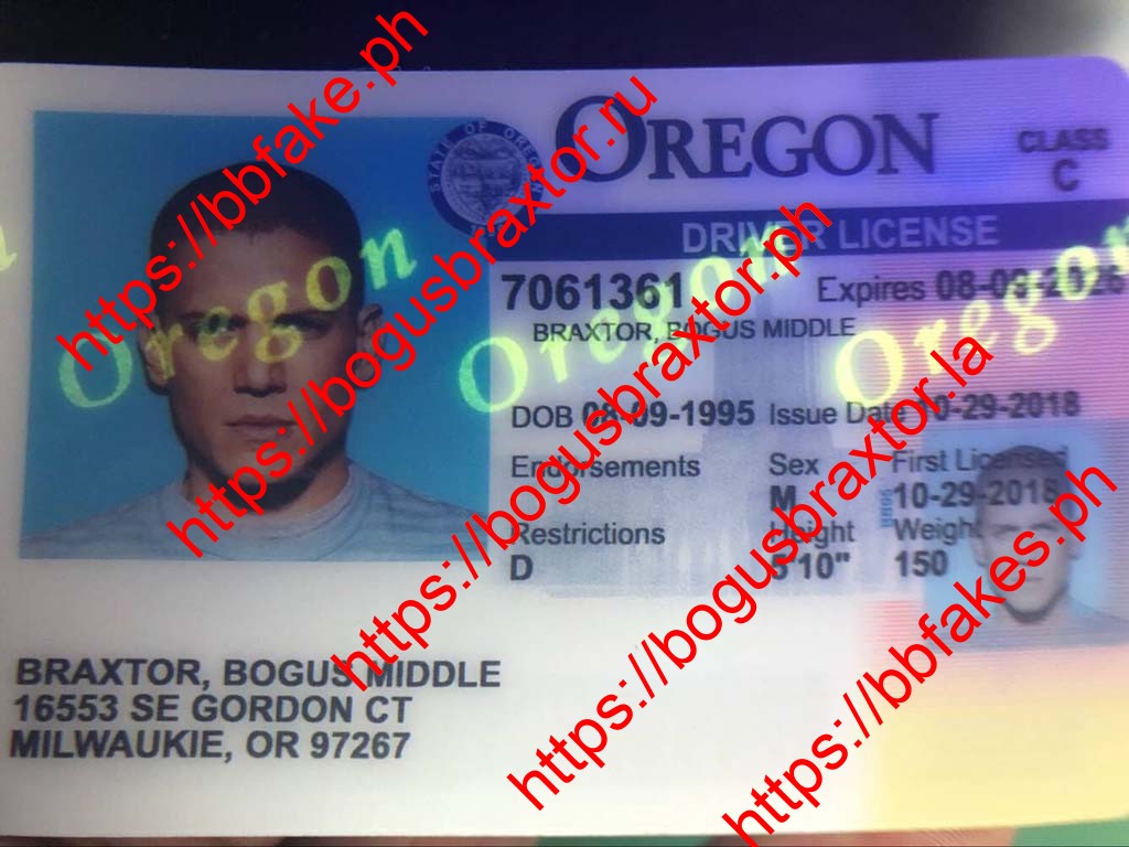 Oregon Fake IDs - Image 3