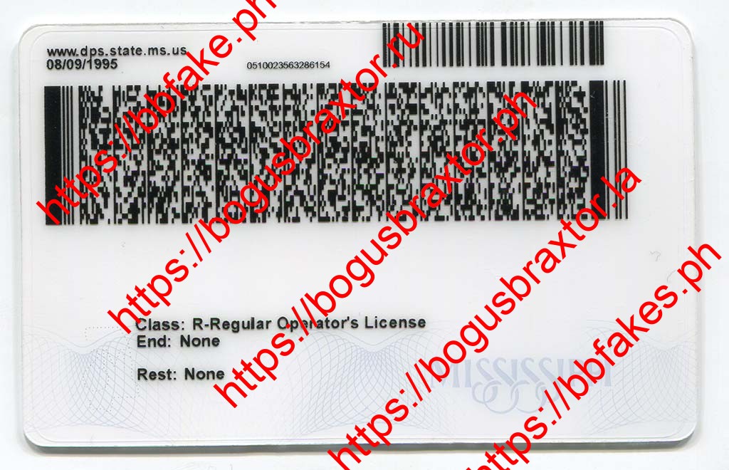 Mississippi Fake ID - Image 3