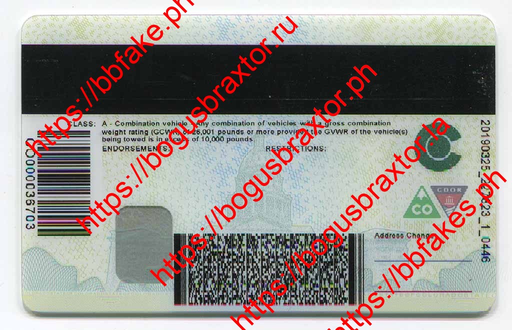Colorado CDL Fake ID - Image 2