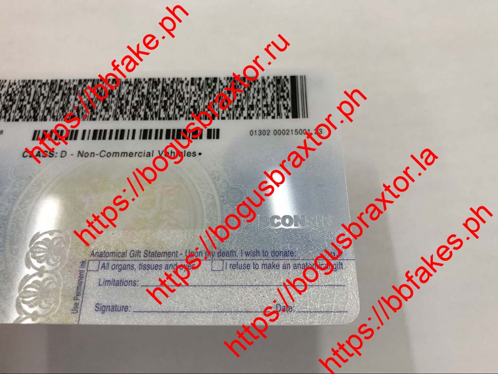 Wisconsin Fake ID - Image 5