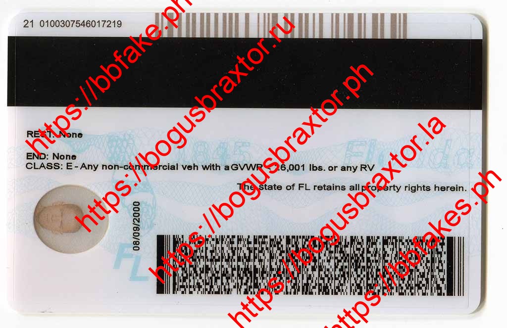 Florida Learner Fake ID - Image 2