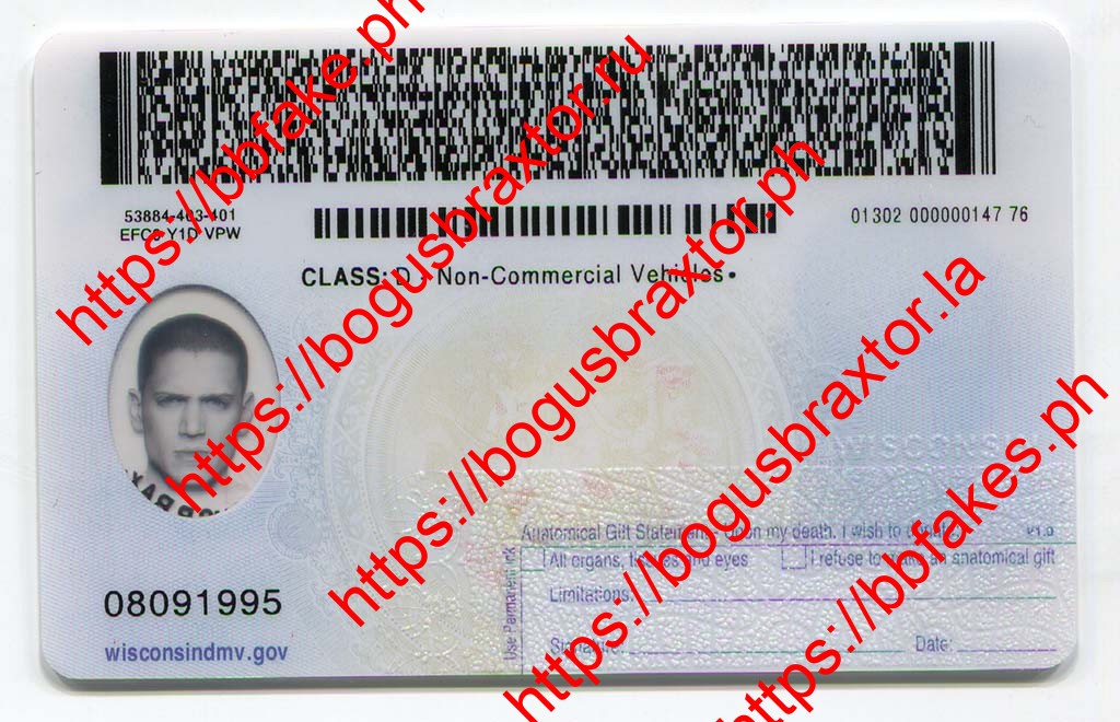 Wisconsin Fake ID - Image 4