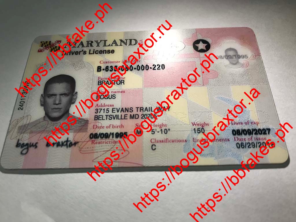 Maryland Fake ID - Image 5