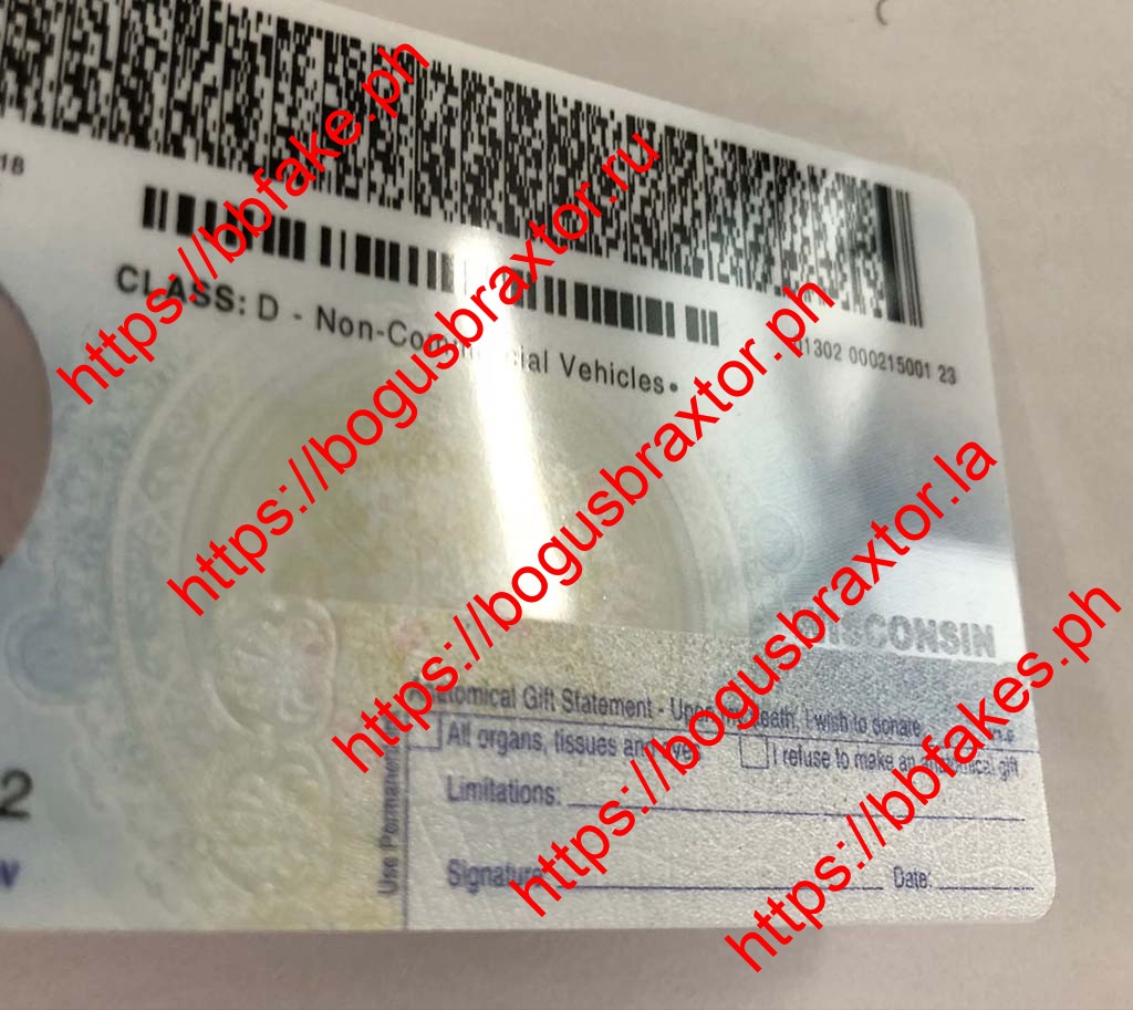 Wisconsin Fake ID - Image 3