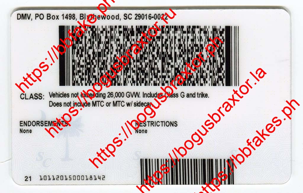 South Carolina Vertical Fake ID - Image 2