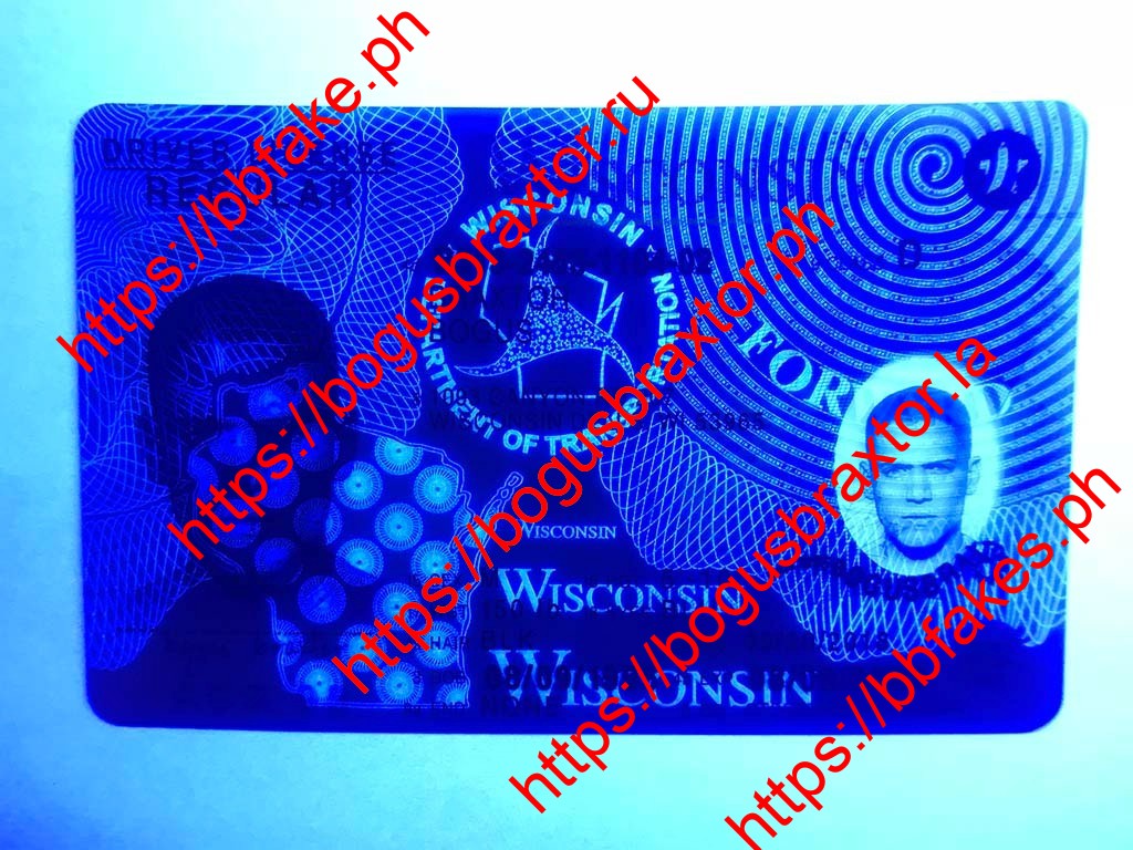 Wisconsin Fake ID - Image 2