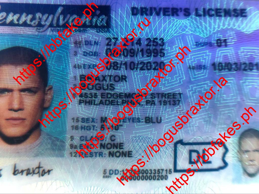 New Pennsylvania Fake ID - Image 2