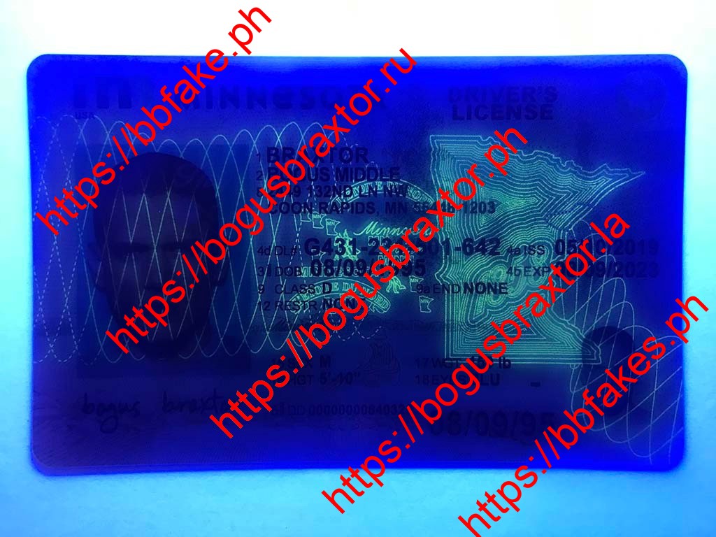 Minnesota Fake ID - Image 3