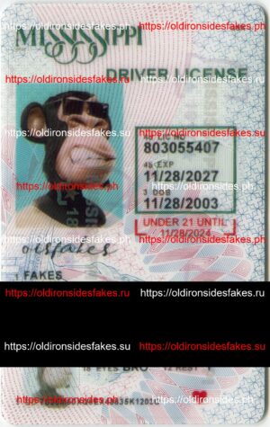 Best & Fast Fake ID Service | Mississippi Driver License