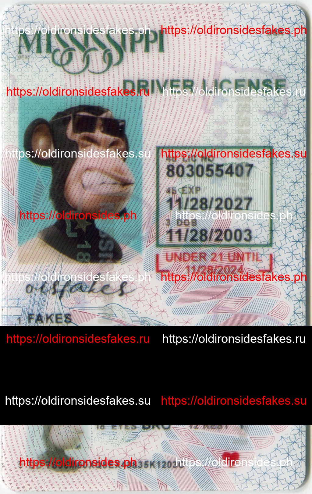 Best & Fast Fake ID Service | Mississippi Driver License