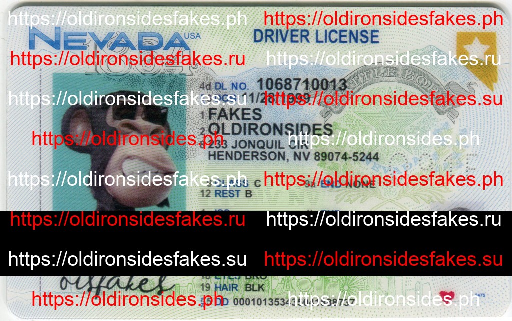 Best & Fast Fake ID Service | Nevada Driver License