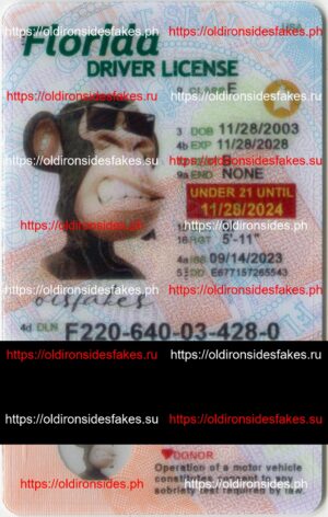 Best & Fast Fake ID Service | Florida Driver License