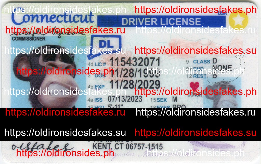 Best & Fast Fake ID Service | Connecticut Driver License