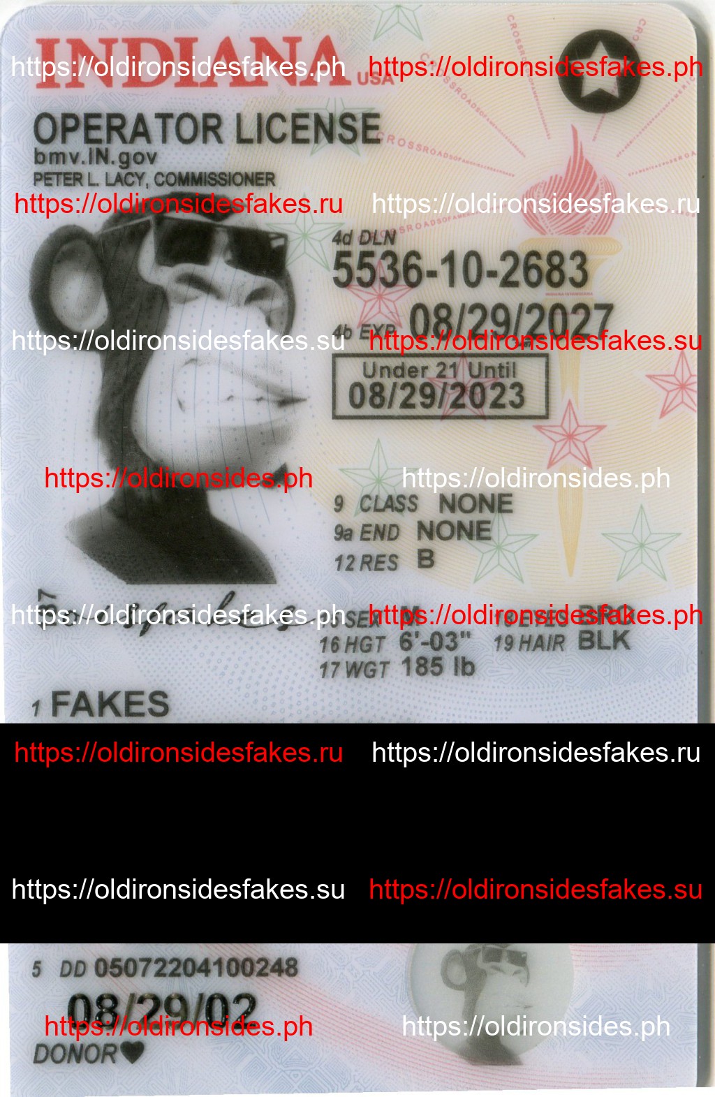 Best & Fast Fake ID Service | Indiana Driver License