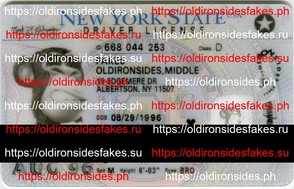 Best & Fast Fake ID Service | New York Driver License