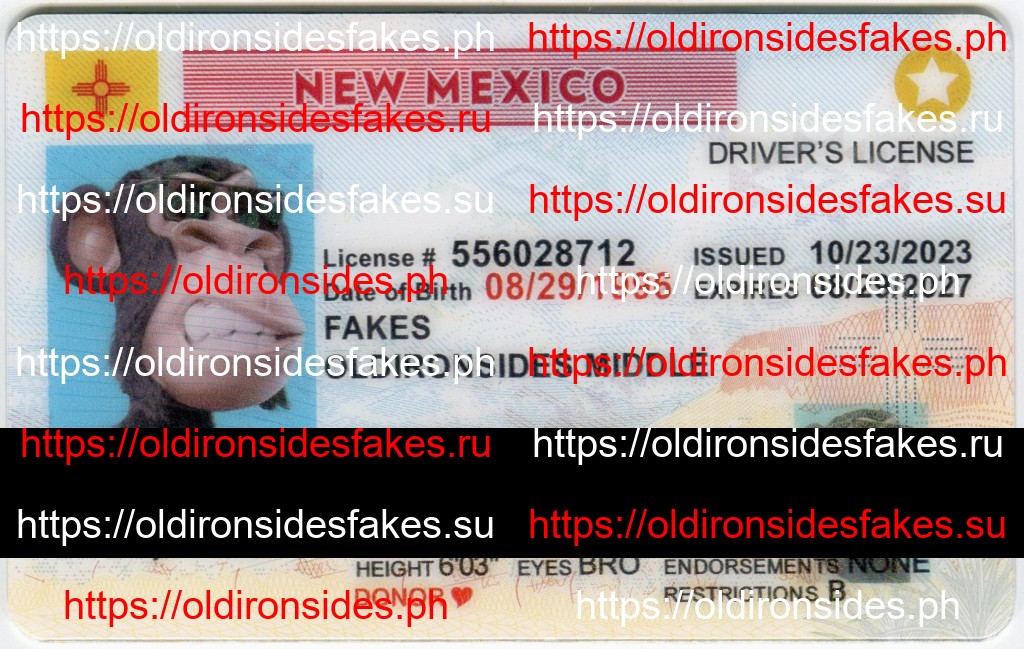 Best & Fast Fake ID Service | New Mexico Driver License