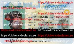 Best & Fast Fake ID Service | Tennessee Driver License(TN O21)