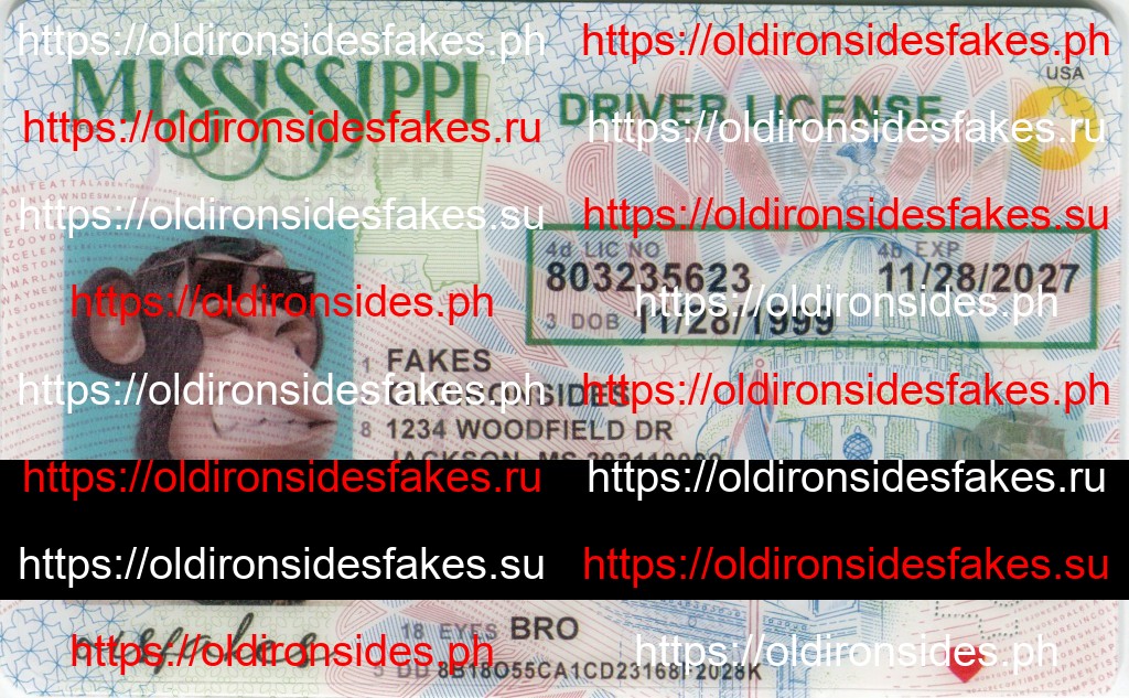 Best & Fast Fake ID Service | Mississippi Driver License