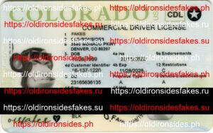 Best & Fast Fake ID Service | Colorado Commercial Driver License