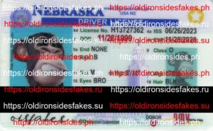 Best & Fast Fake ID Service | Nebraska Driver License