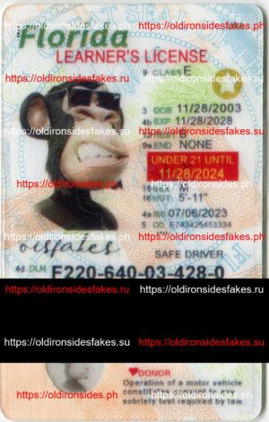 Best & Fast Fake ID Service | Florida Driver License
