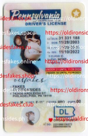 Best & Fast Fake ID Service | Pennsylvania Driver License